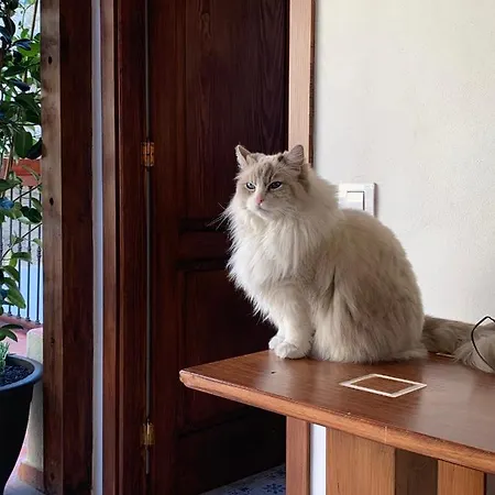 Hotel Casa Doranda Vegueta Las Palmas de Gran Canaria