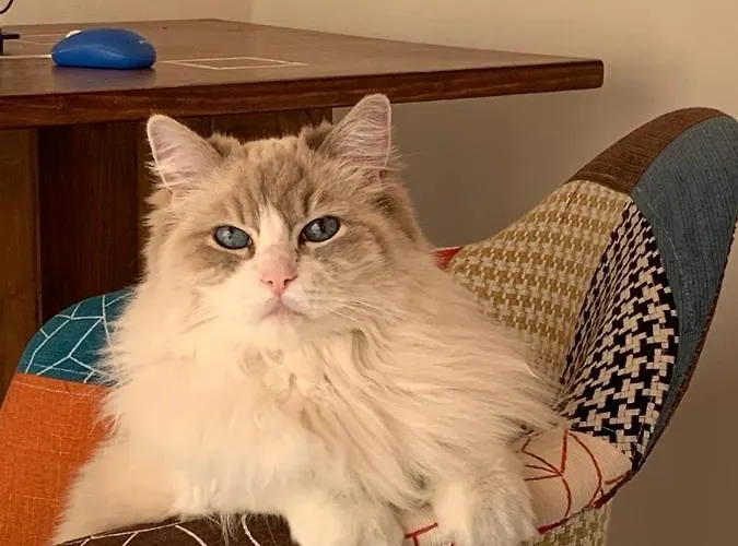 Casa Doranda Vegueta *