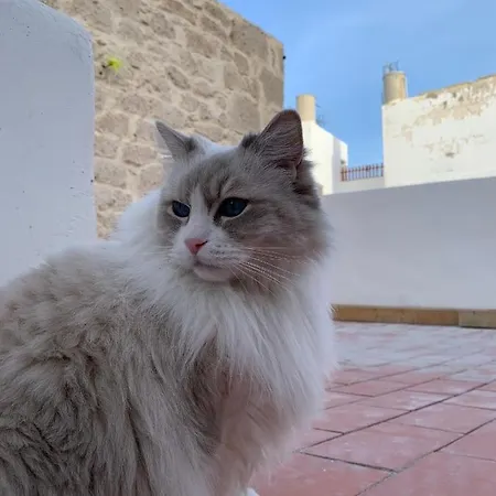 Otel Casa Doranda Vegueta Las Palmas de Gran Canaria