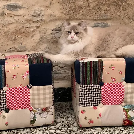 Casa Doranda Vegueta Hotel *