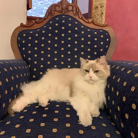 Casa Doranda Vegueta *