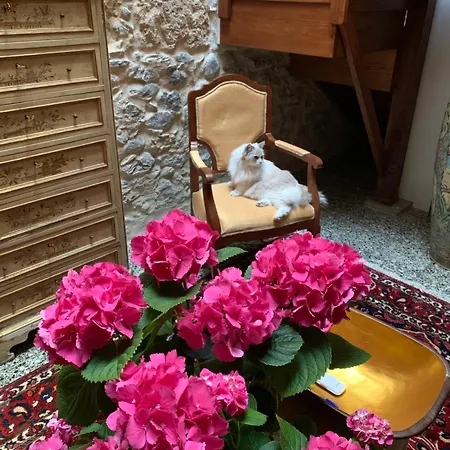 Casa Doranda Vegueta * Las Palmas / Gran Canaria