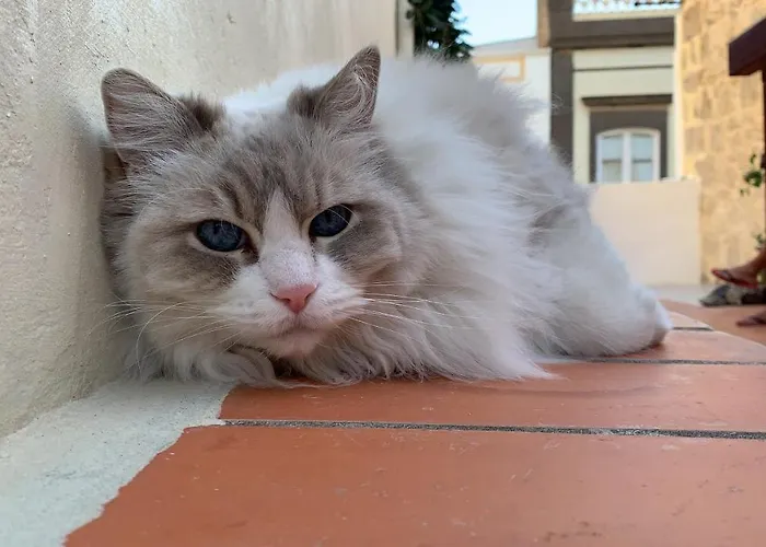 Casa Doranda Vegueta ラスパルマス・デ・グランカナリア