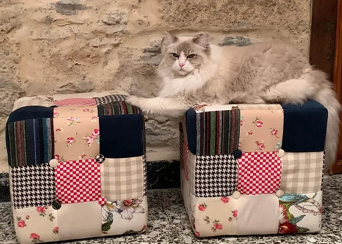 Casa Doranda Vegueta ホテル *