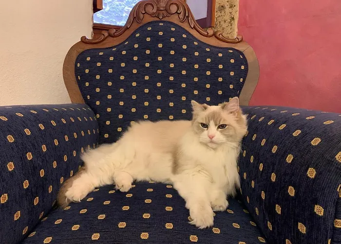 Casa Doranda Vegueta *