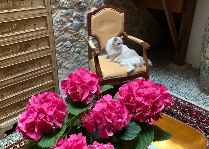 Casa Doranda Vegueta * ラスパルマス・デ・グランカナリア