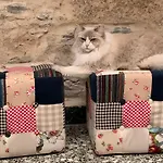 Casa Doranda Vegueta Ξενοδοχείο *