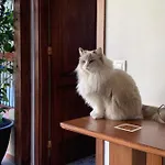 Ξενοδοχείο Casa Doranda Vegueta Λας Πάλμας ντε Γκραν Κανάρια