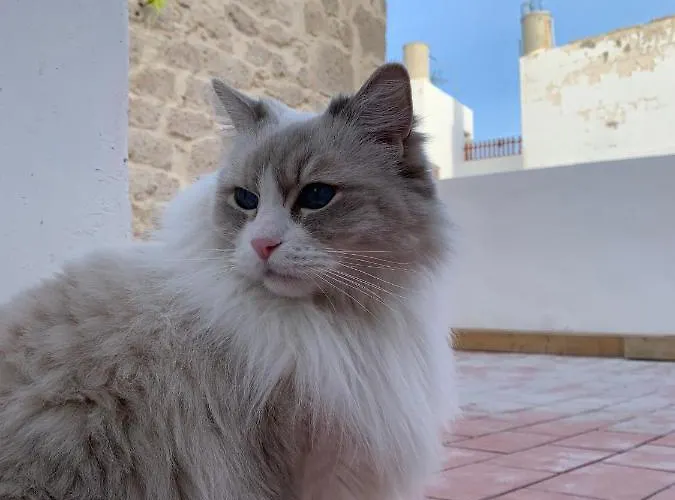 Отель Casa Doranda Vegueta Лас-Пальмас-де-Гран-Канария